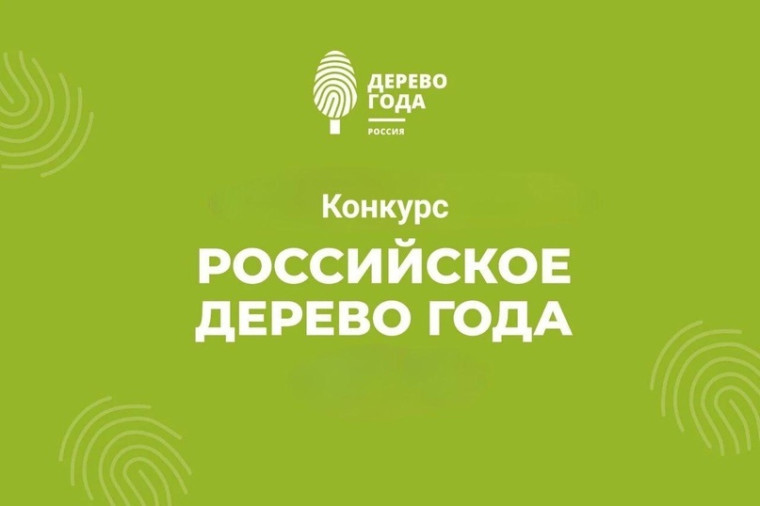 «Российское дерево года 2024».