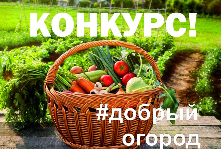 Конкурс &quot;Добрый огород&quot;.