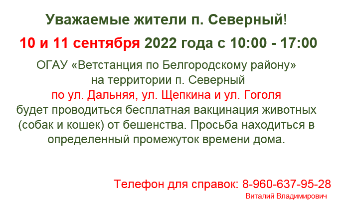 Проведение бесплатной вакцинации от бешенства животных (собак и кошек).