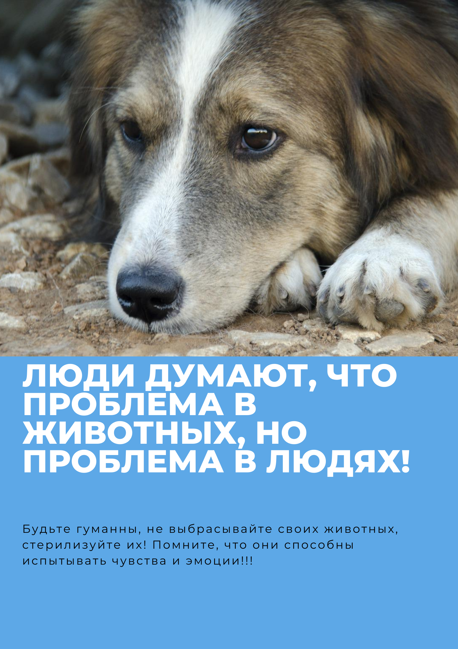Уважаемые жители Белгородского района!.