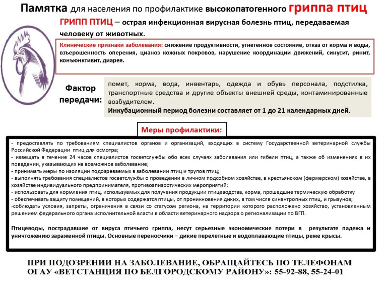 Грипп птиц. Грипп птиц.